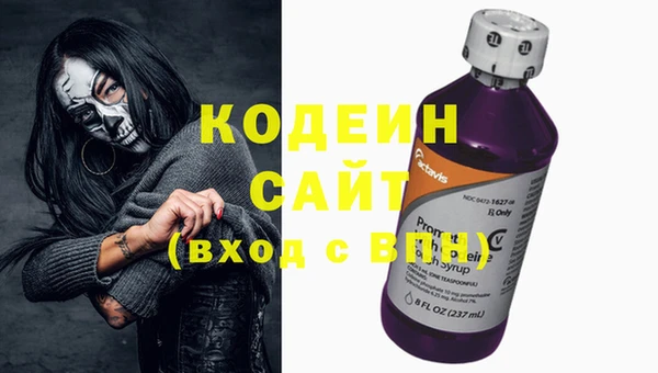 мдпв Каменка