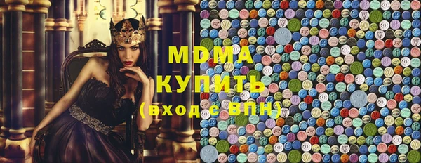 мдпв Каменка