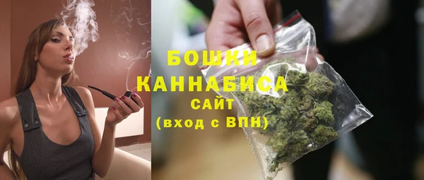 мдпв Каменка