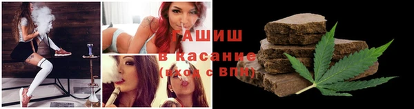 мдпв Каменка