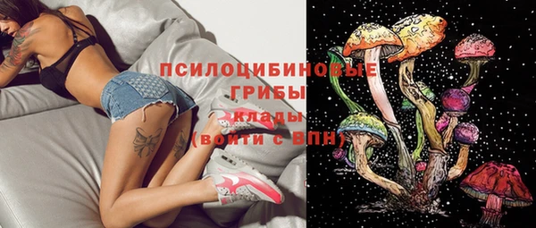 мдпв Каменка