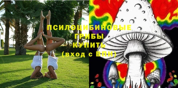 мдпв Каменка