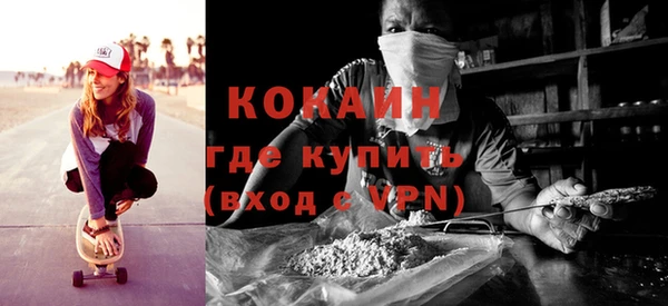 мдпв Каменка