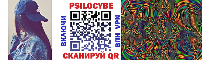 купить закладку Зуевка Псилоцибиновые грибы GOLDEN TEACHER